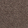 COLD BEIGE